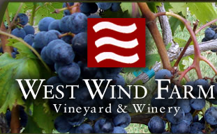 West Wind Farm - Vineyard & Winery :: Max Meadows, Virginia